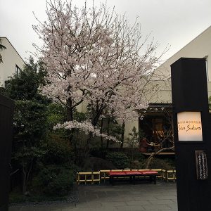 和の雰囲気がいい施設【東京染井温泉sakura】