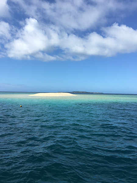 圧倒的な美しさ！真っ白な珊瑚の島と、魚にあふれた西表島のダイビング【石垣島2】
