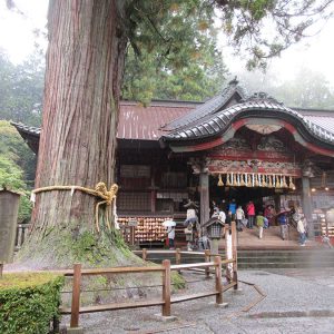 重厚な杉並木と、たくさんの御神木がある癒しの神社【北口本宮富士山浅間神社】