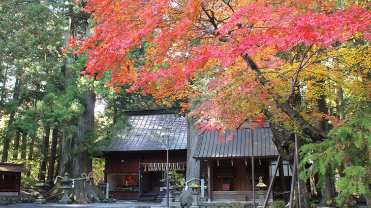 北口本宮冨士浅間神社の紅葉と、神様の素敵なおもてなし