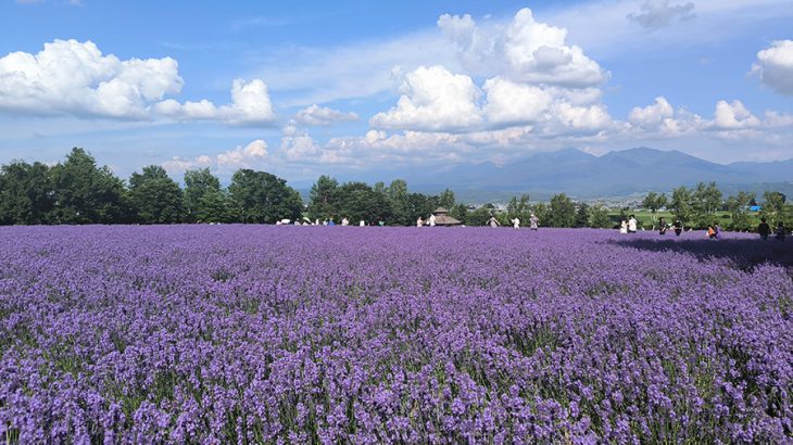 函館→旭川を５泊6日で駆け抜ける、北海道旅行【前半】